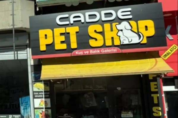 Cadde Pet Shop - Evcil hayvan mağazası - Ankara Sincan