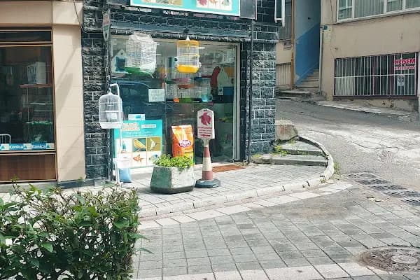 Gemlik Discus Akvaryum &amp; Petshop - Evcil Hayvan Malzemeleri Mağazası - Bursa Gemlik