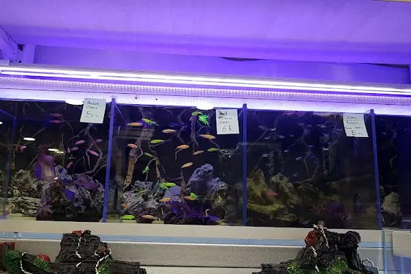 Mercan Pet Shop - Evcil Hayvan Malzemeleri Mağazası - İstanbul Şişli