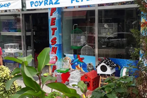 Poyraz petshop - Evcil hayvan mağazası - Samsun 19 Mayıs