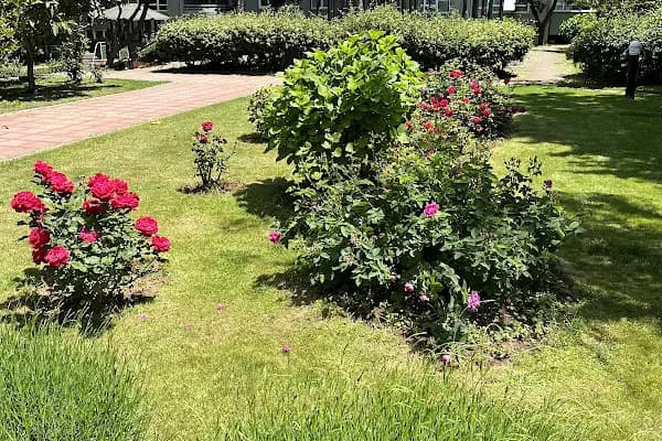 Ataşehir 61 ada Akasya 2 Blokları Yönetimi - Apartman Kompleksi - İstanbul Ataşehir