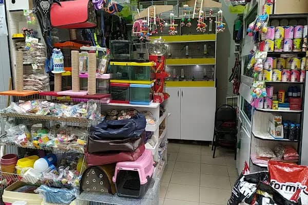 Talha Akvaryum Pet Shop - Evcil hayvan mağazası - Ankara Keçiören