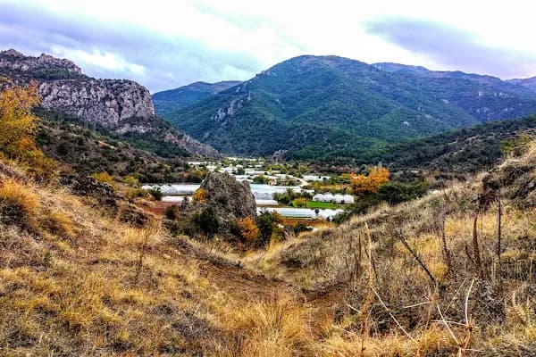 Yaş Sebze İmalatı - Restoran - Eskişehir Odunpazarı