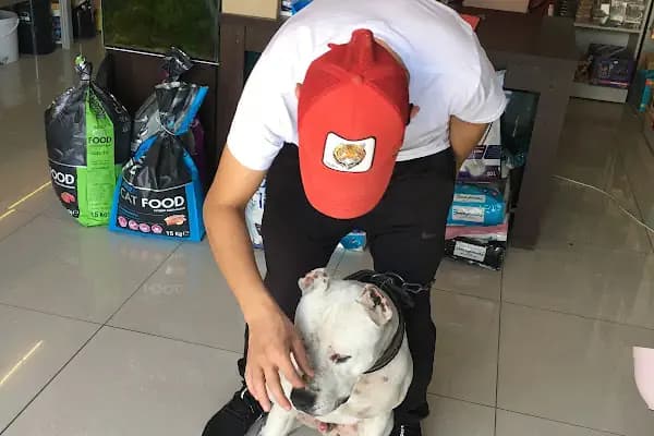 Selçuklu Petshop - Akvaryum Mağazası - Konya Selçuklu