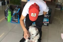 Selçuklu Petshop