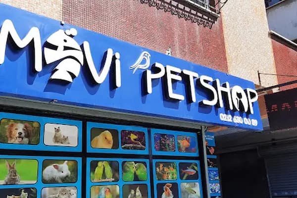 Mavi Petshop - Akvaryum - İstanbul Bahçelievler