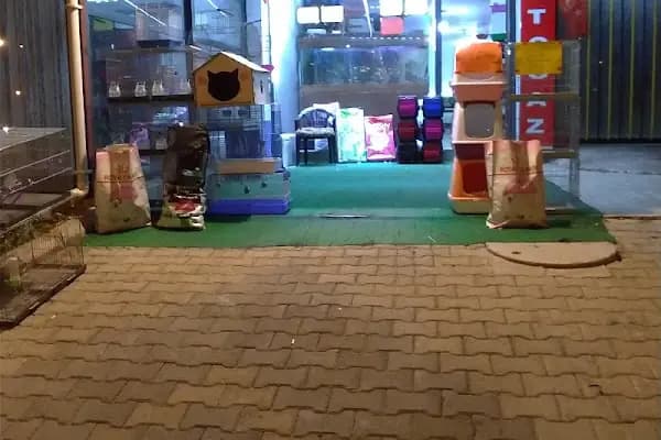 PETSHOP AZELYA - Evcil hayvan mağazası - İstanbul Esenyurt