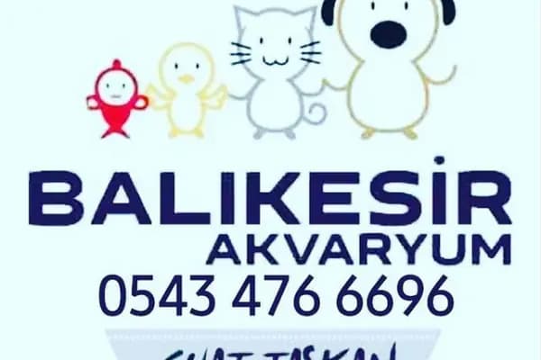 BALIKESİR AKVARYUM PETSHOP - Evcil hayvan mağazası - Balıkesir Altıeylül