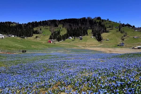 Kadıralak Tabiat Parkı - Milli Park - Trabzon Yomra