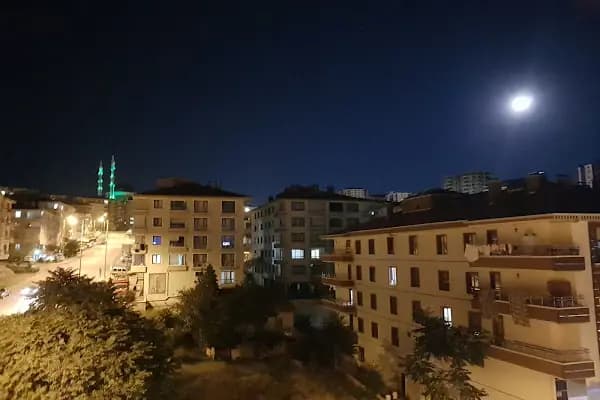 Gülpınar Mh. Muhtarlığı - Yerel Resmi Daire - Ankara Ayaş