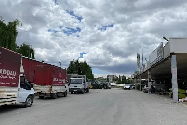 Mega Anadolu Taşımacılık Malatya - Nakliyat Şirketi - Malatya Battalgazi
