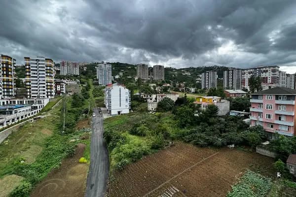 CEYHUN APARTMANI - Apartman - Trabzon Akçaabat
