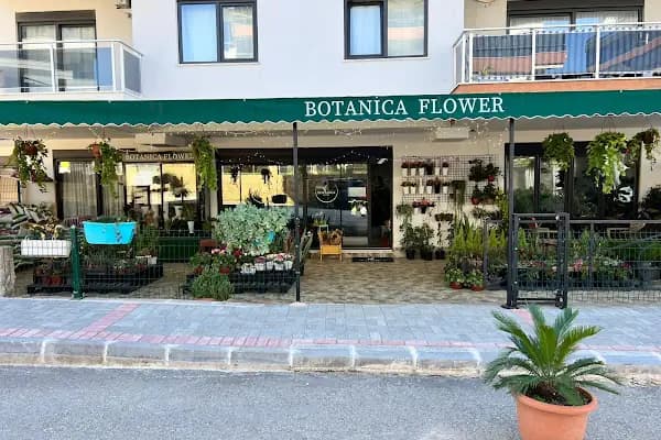 Botanica Flower - Çiçek Pazarı - Antalya Alanya