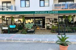 Botanica Flower