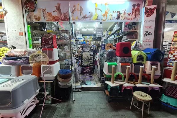 Doruk Petkuaför &amp; Petshop - Evcil Hayvan Kuaförü - İstanbul Avcılar