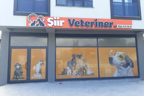 Şiir Veteriner Kliniği - Veteriner - Kocaeli Başiskele