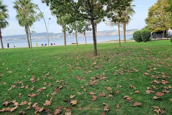 Çocuk Parkı - Park - Kocaeli Başiskele