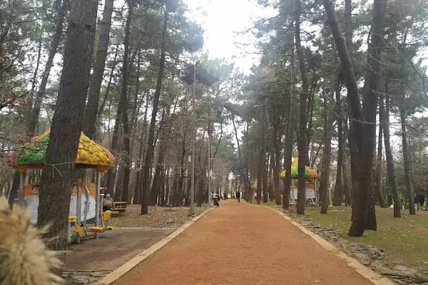 Çekmeköy Doğa Parkı - Park - İstanbul Çekmeköy