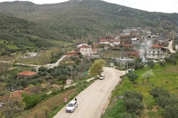 Akçapınar Köyü Muhtarlığı - Ulusal Orman - Bursa Mustafakemalpaşa