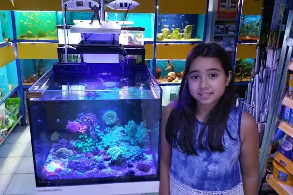 Hobby pet shop hobi grup ltd. - Evcil hayvan mağazası - Balıkesir Havran
