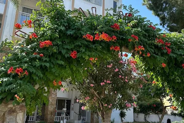 Yan otel - Otel - Mersin Akdeniz