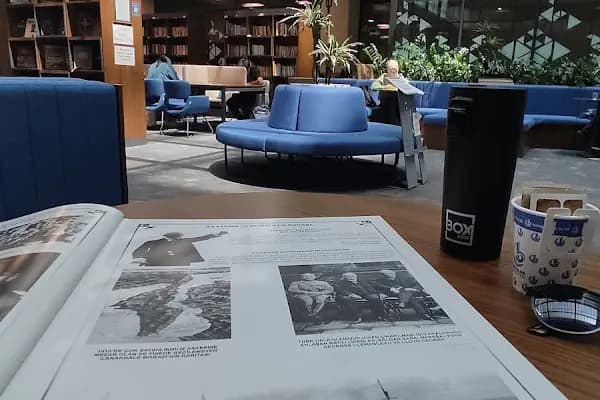 Bağcılar Belediyesi Yeni Hizmet Binası - Belediye Binası - İstanbul Beylikdüzü