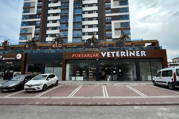 Pursaklar Hayvan Hastanesi ( Pursaklar’ın İlk Veterineri ) - Veteriner - Ankara Beypazarı