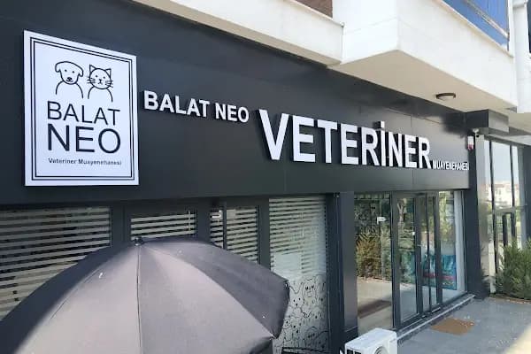 Balat Neo Veteriner Kliniği I BALAT VETERİNER I BADEMLİ VETERİNER I ACİL VETERİNER - Veteriner - Bursa Nilüfer