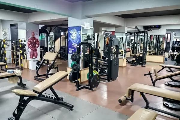 Arslan Fıtness ve Spor Kulübü - Spor salonu - Kocaeli Gölcük