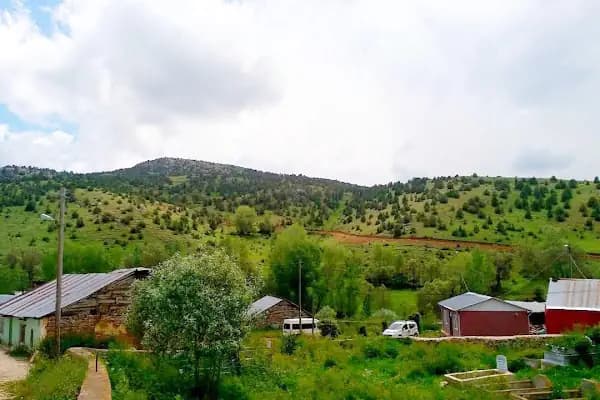 Kılıç Besi Çiftliği - Büyükbaş Hayvan Çiftliği - Ankara Altındağ