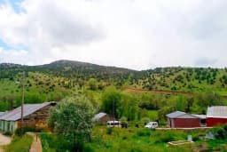 Kılıç Besi Çiftliği