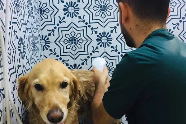 Petonomi Veteriner Kliniği - Veteriner - Mersin Toroslar