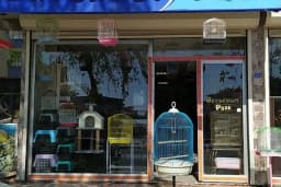 ŞİLA &amp; MİNİK DOSTLAR DİYARBAKİR PET SHOP AKVARYUM