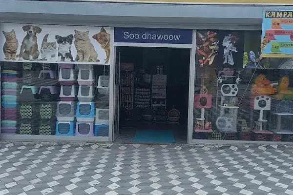 İmera Pet Shop - Evcil hayvan mağazası - Ankara Yenimahalle