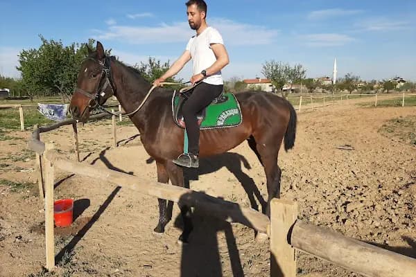 Nalçacı Binicilik &amp; At Eğitim Merkezi - Binicilik Kulübü - Konya Meram