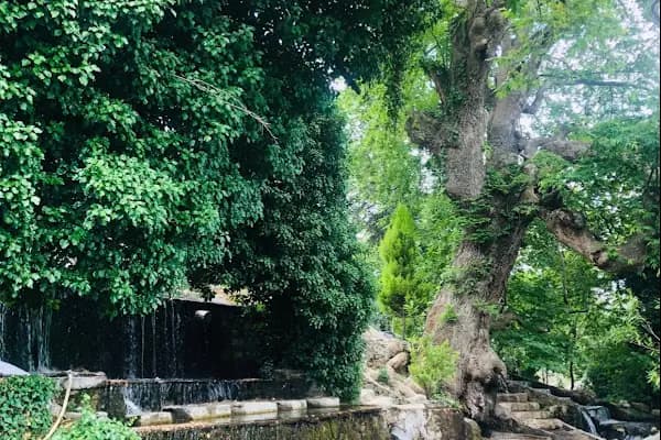 BODRUM DERİN OTOPARK - Park Yeri - Muğla Bodrum