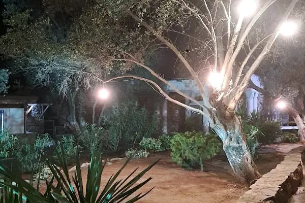Müsgebi Etkinlik Merkezi - Bodrum Belediye A.Ş. - Salon - Muğla Bodrum