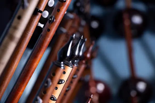 Can Butik &amp; Müzik Market - Müzik aletleri mağazası - İstanbul Küçükçekmece