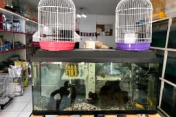 Kumluca Akvaryum-Petshop