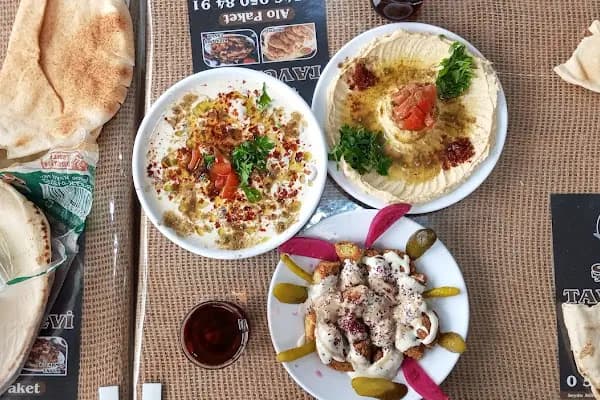 Şişko tavuk evi - Kümes Hayvanları Çiftliği - Şanlıurfa Haliliye