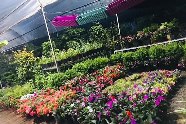 ALANYA BOTANİK PEYZAJ VE ÇİÇEK - Peyzaj Malzemeleri Satıcısı - Antalya Döşemealtı