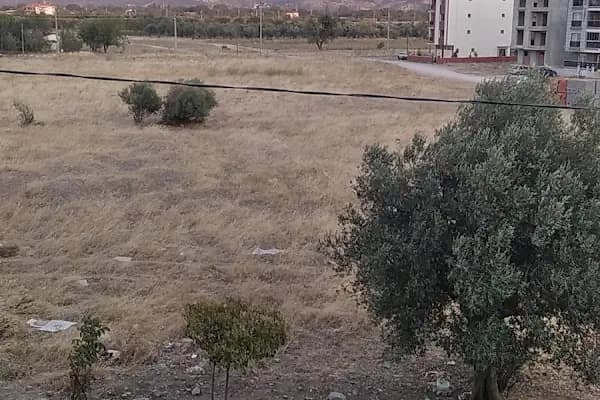 Şok Market - Süpermarket - İzmir Bergama