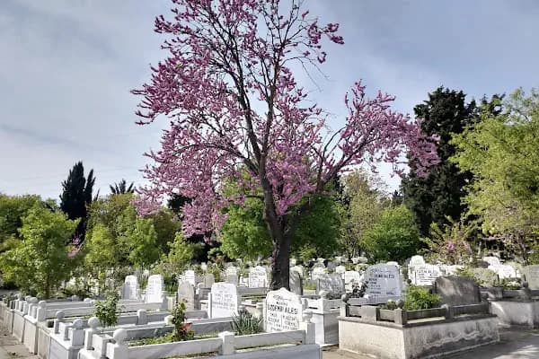 Eski Topkapı Mezarlığı - Mezarlık - İstanbul Zeytinburnu