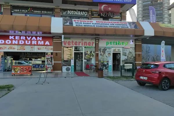 Taha Petshop - Evcil hayvan mağazası - Ankara Akyurt