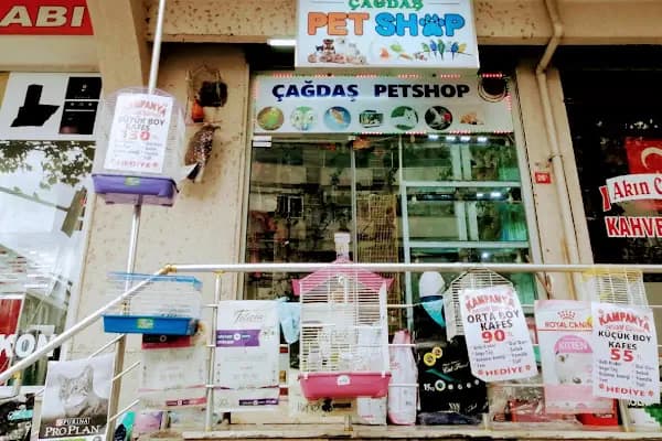 Çağdaş Petshop - Evcil hayvan mağazası - İstanbul Bakırköy