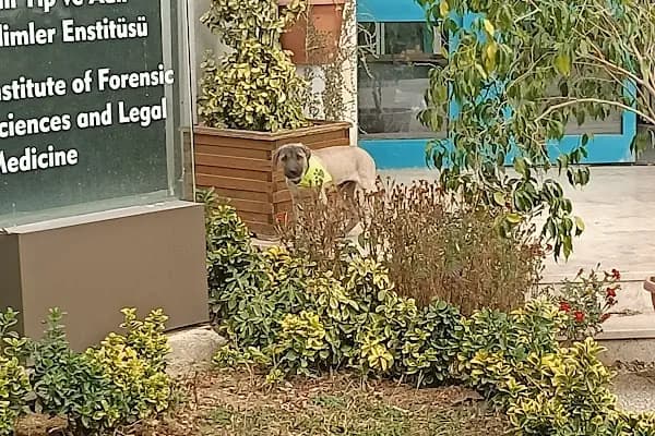 Hadımköy kampüsü - Okul - İstanbul Küçükçekmece