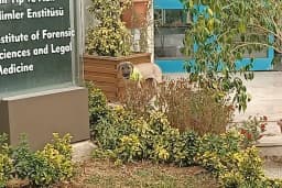 Hadımköy kampüsü