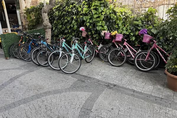 KISMET BİSİKLET - Bisiklet Kiralama Hizmeti - İstanbul Adalar