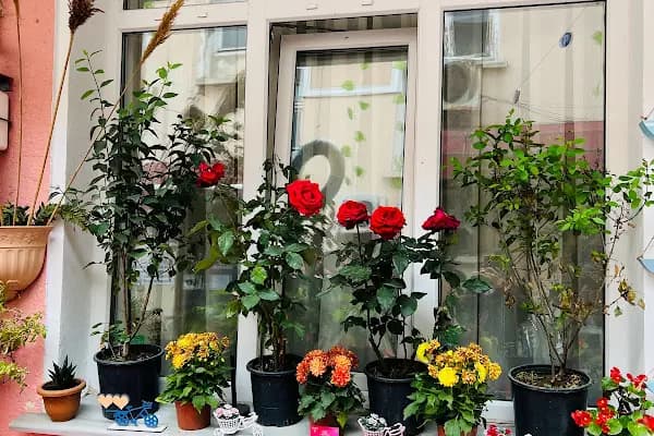 PEMBE PANSİYON BÜYÜKADA - Otel - İstanbul Tuzla