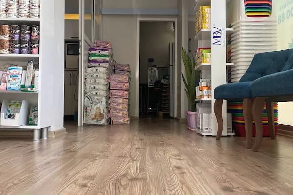 Atlantis Veteriner Kliniği - Veteriner - Adana Pozantı